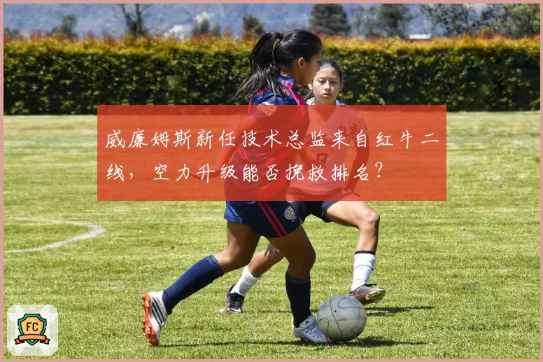 威廉姆斯新任技术总监来自红牛二线，空力升级能否挽救排名？