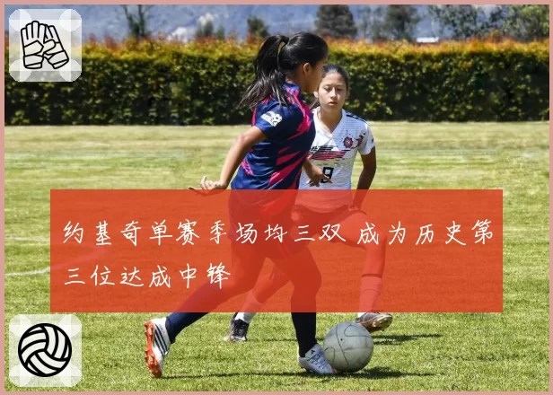 约基奇单赛季场均三双 成为历史第三位达成中锋