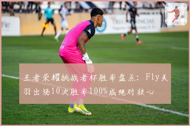 王者荣耀挑战者杯胜率盘点：Fly关羽出场10次胜率100%成绝对核心