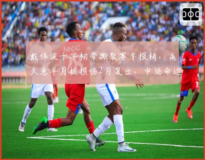 戴伟浚十字韧带撕裂赛季报销，高天意半月板损伤2月复出，中场命运对比
